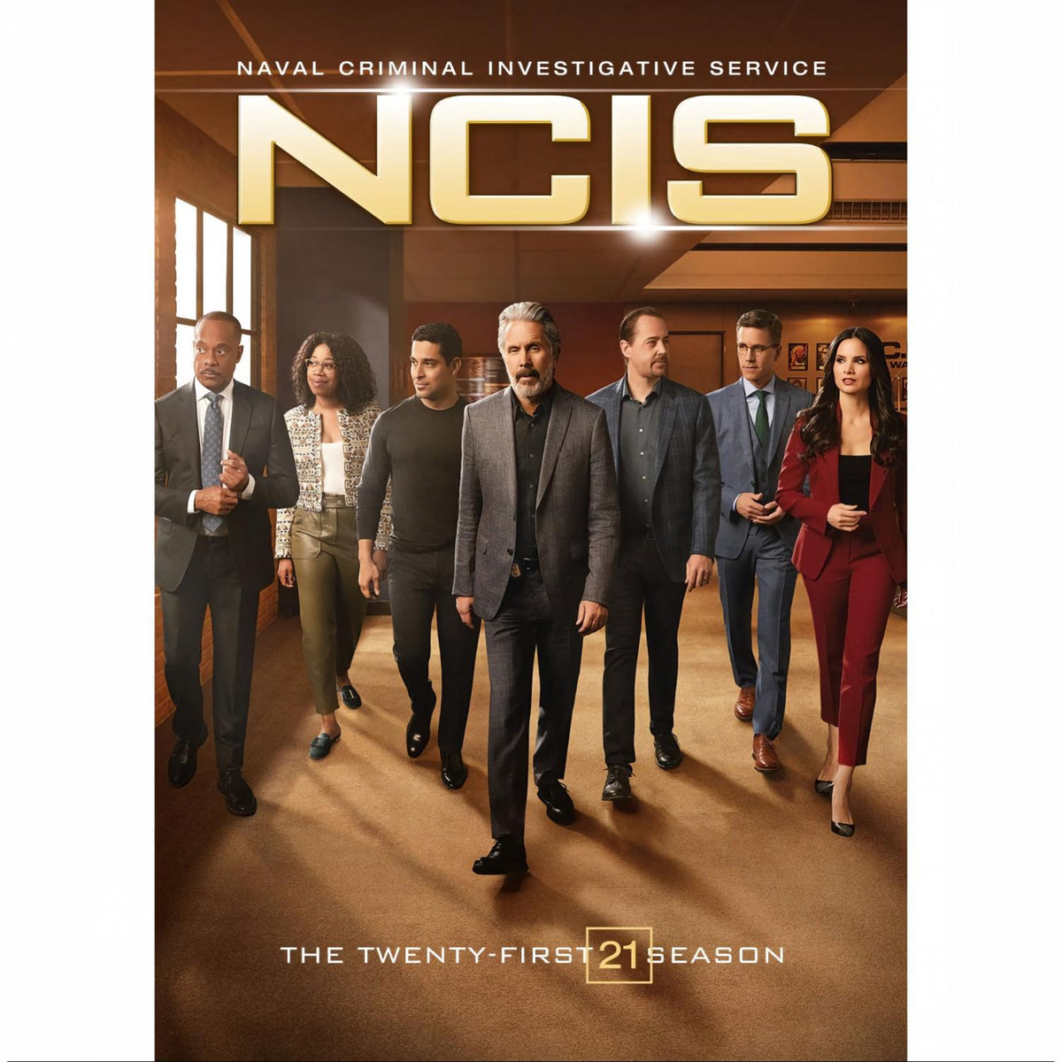NCIS: The Twenty-First Season [DVD, 3-Discs]