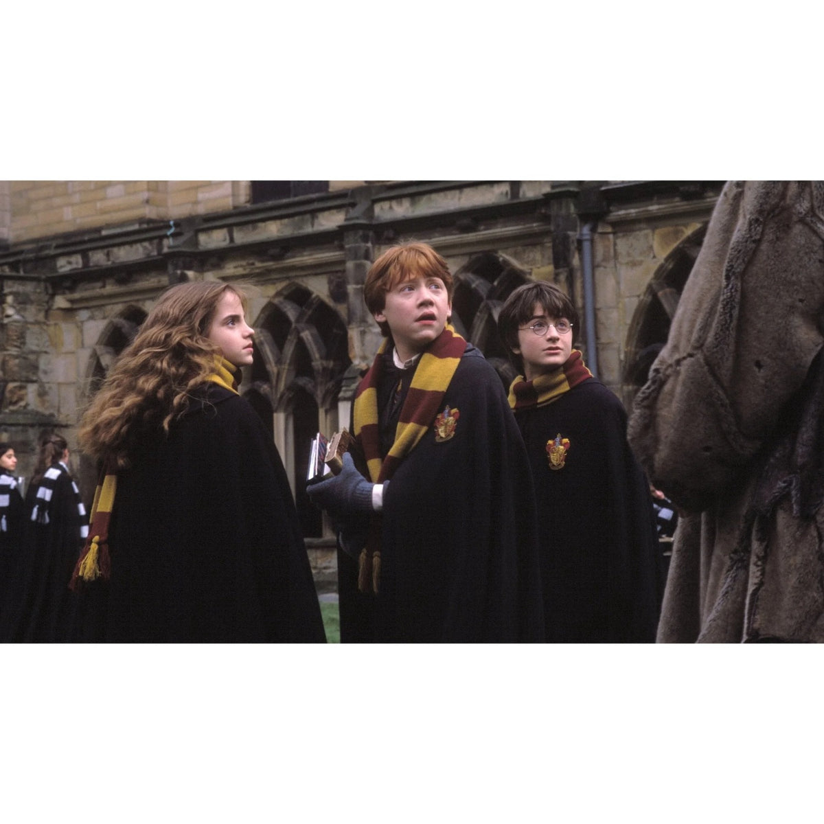 Harry Potter: Complete 8-Film Collection [DVD, 8-Discs]